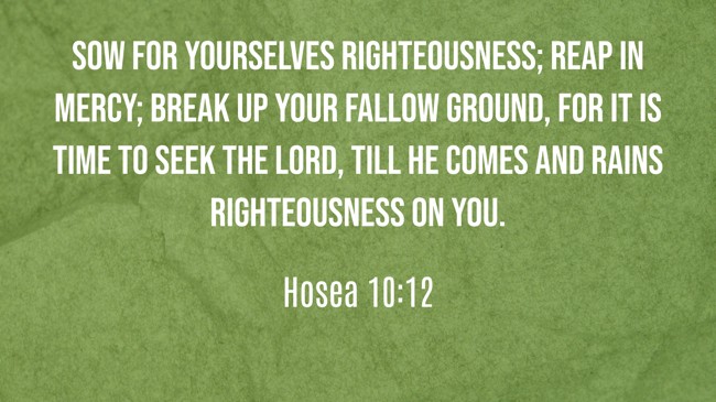 Sow for yourselves righteousness; reap in mercy; break up your fallow ground, for it is time to seek the LORD, till He comes and rains righteousness on you. - Hosea 10:12
