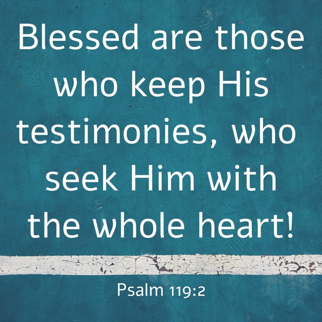 Blessed are those who keep His testimonies, who seek Him with the whole heart! - Psalm 119:2