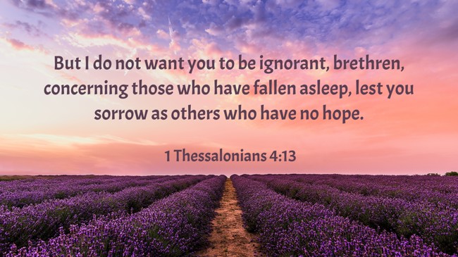 But I do not want you to be ignorant, brethren, concerning those who have fallen asleep, lest you sorrow as others who have no hope. - 1 Thessalonians 4:13