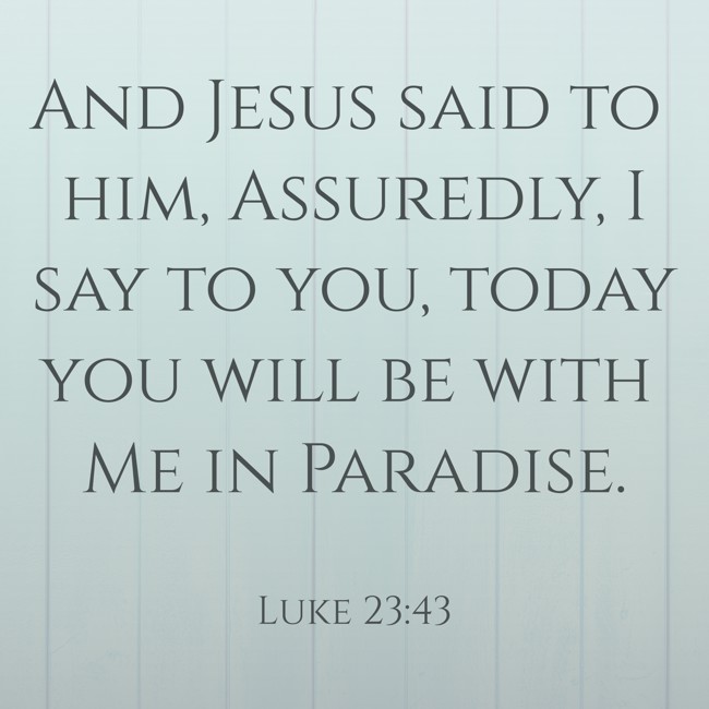 And Jesus said to him, Assuredly, I say to you, today you will be with Me in Paradise. - Luke 23:43