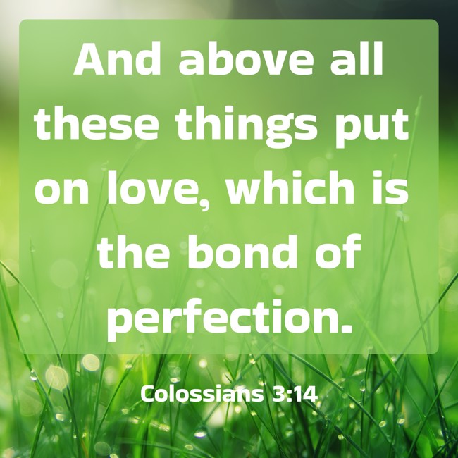 And above all these things put on love, which is the bond of perfection. - Colossians 3:14