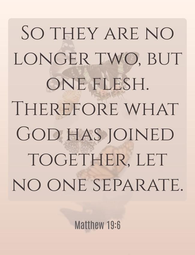 So they are no longer two, but one flesh. Therefore what God has joined together, let no one separate. - Matthew 19:6