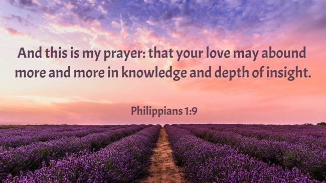 And this is my prayer: that your love may abound more and more in knowledge and depth of insight. - Philippians 1:9