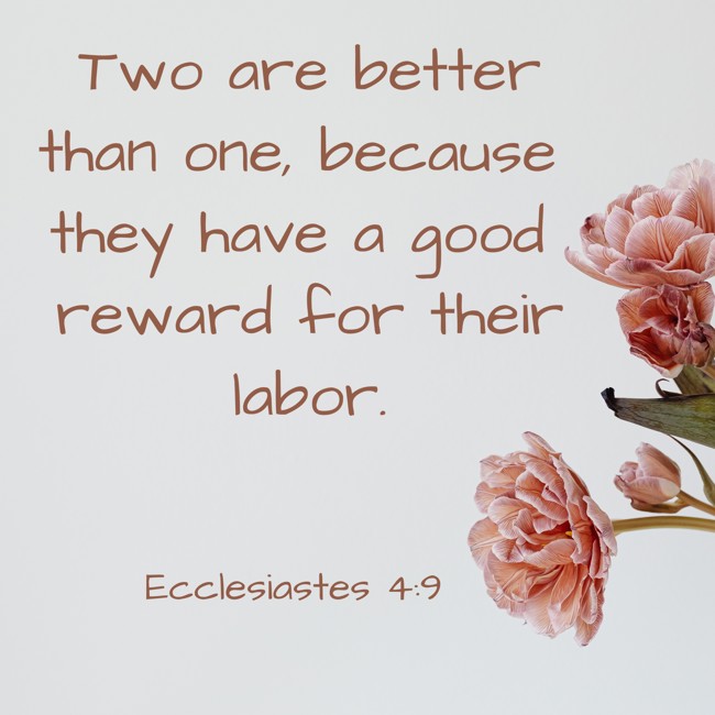 Two are better than one, because they have a good reward for their labor. - Ecclesiastes 4:9