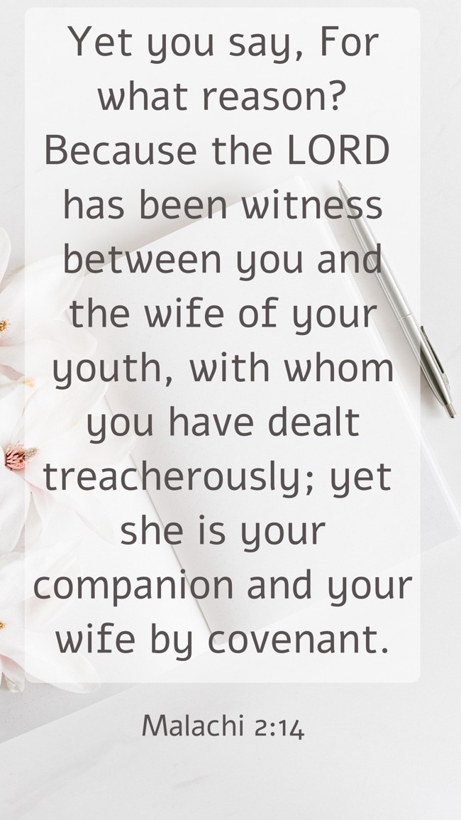 Yet you say, For what reason? Because the LORD has been witness between you and the wife of your youth, with whom you have dealt treacherously; yet she is your companion and your wife by covenant. - Malachi 2:14