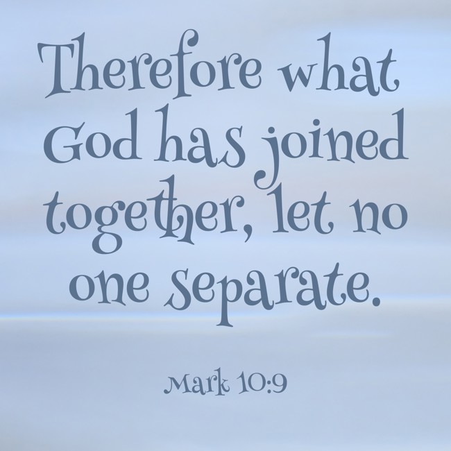 Therefore what God has joined together, let no one separate. - Mark 10:9