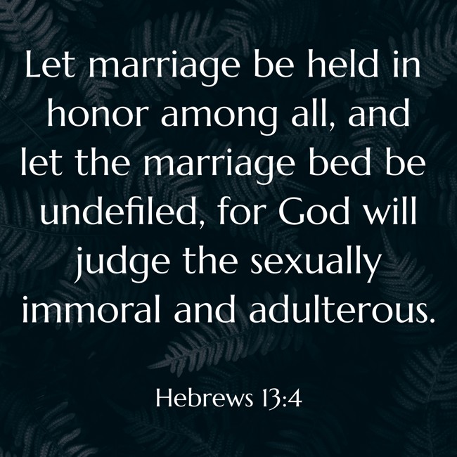 Let marriage be held in honor among all, and let the marriage bed be undefiled, for God will judge the sexually immoral and adulterous. - Hebrews 13:4