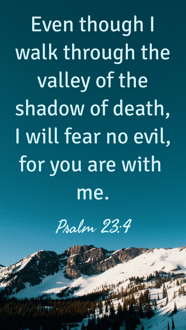 Even though I walk through the valley of the shadow of death, I will fear no evil, for you are with me. - Psalm 23:4
