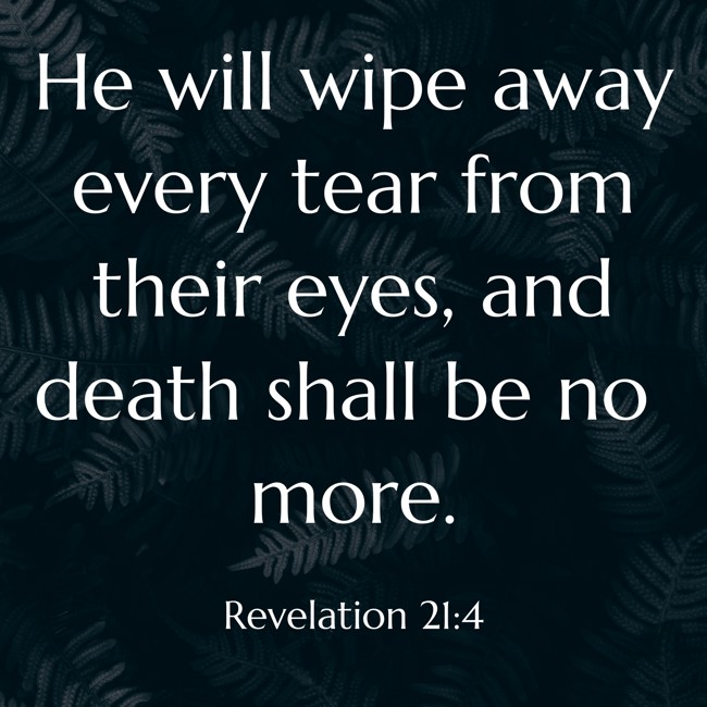 He will wipe away every tear from their eyes, and death shall be no more. - Revelation 21:4