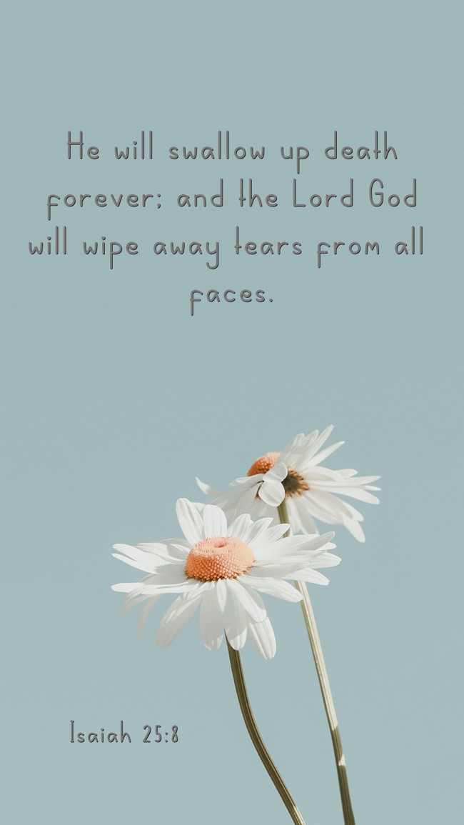 He will swallow up death forever; and the Lord God will wipe away tears from all faces. - Isaiah 25:8