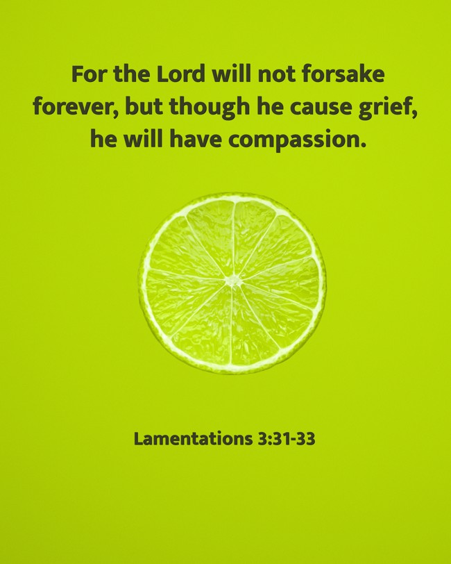 For the Lord will not forsake forever, but though he cause grief, he will have compassion. - Lamentations 3:31-33