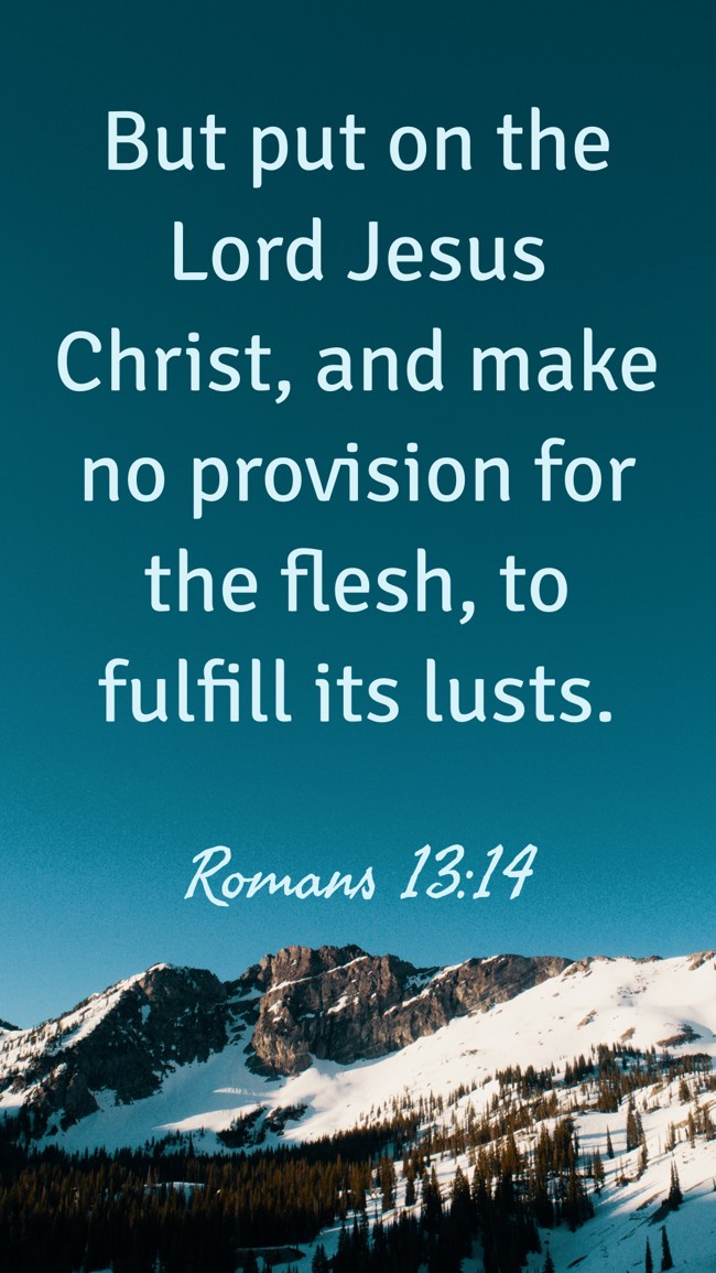 But put on the Lord Jesus Christ, and make no provision for the flesh, to fulfill its lusts. - Romans 13:14