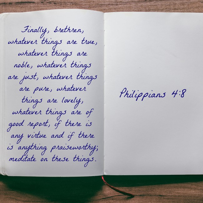 Finally, brethren, whatever things are true, whatever things are noble, whatever things are just, whatever things are pure, whatever things are lovely, whatever things are of good report, if there is any virtue and if there is anything praiseworthy; meditate on these things. - Philippians 4:8