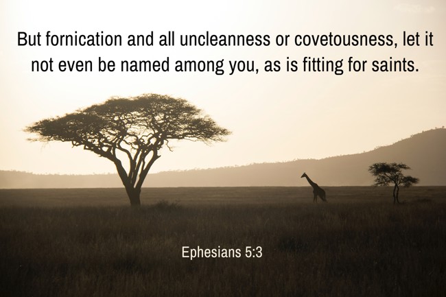 But fornication and all uncleanness or covetousness, let it not even be named among you, as is fitting for saints. - Ephesians 5:3
