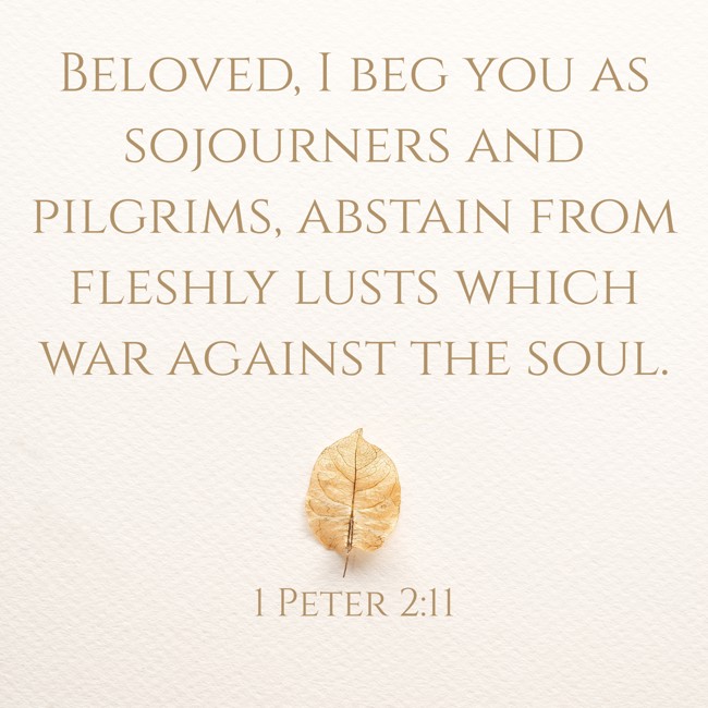 Beloved, I beg you as sojourners and pilgrims, abstain from fleshly lusts which war against the soul. - 1 Peter 2:11