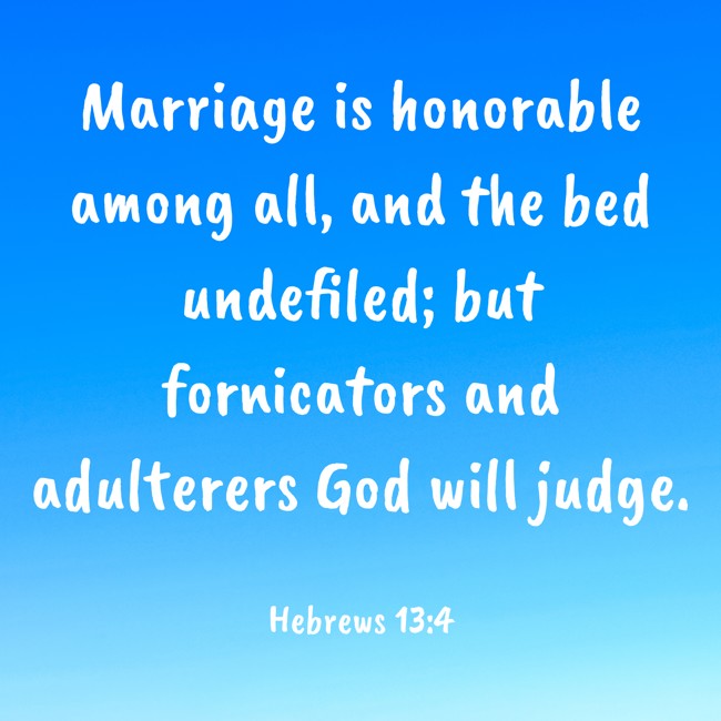 Marriage is honorable among all, and the bed undefiled; but fornicators and adulterers God will judge. - Hebrews 13:4