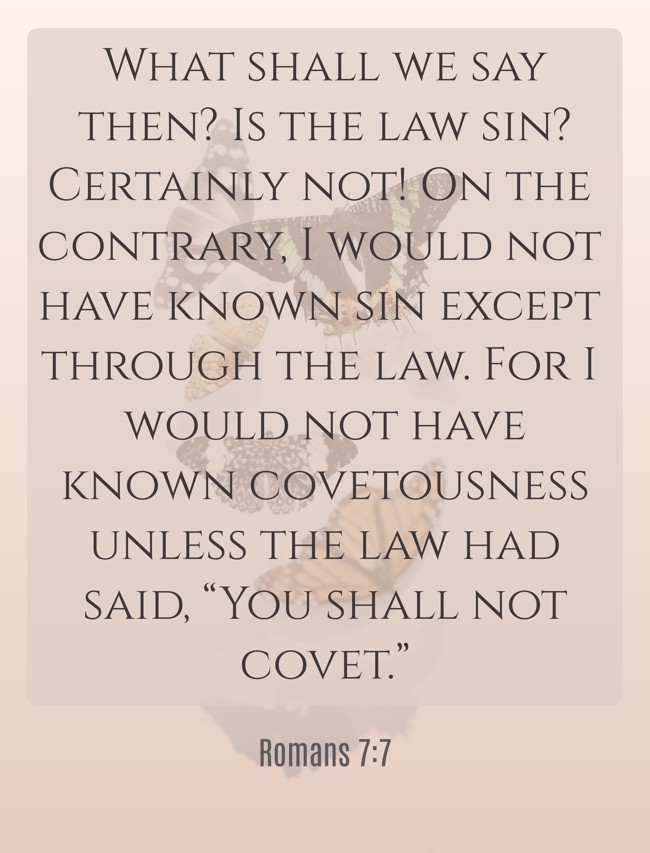 What shall we say then? Is the law sin? Certainly not! On the contrary, I would not have known sin except through the law. For I would not have known covetousness unless the law had said, “You shall not covet.” - Romans 7:7