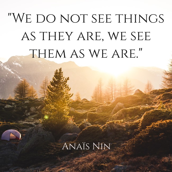 We do not see things as they are, we see them as we are. - Anaïs Nin