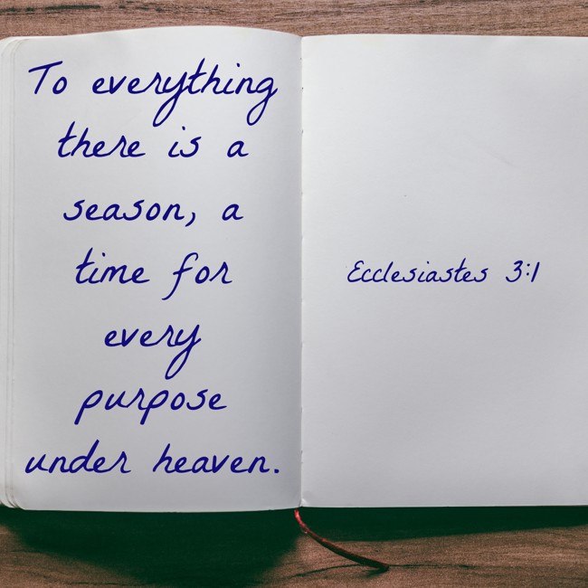 To everything there is a season, a time for every purpose under heaven. - Ecclesiastes 3:1