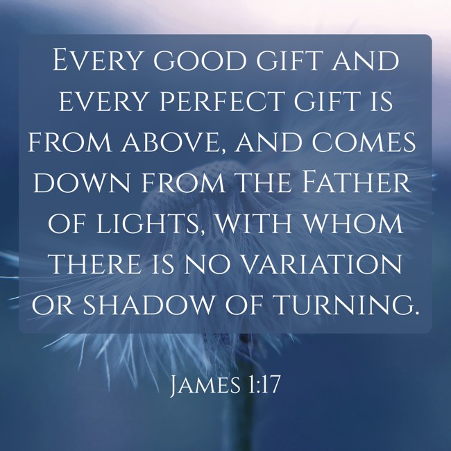 Every good gift and every perfect gift is from above, and comes down from the Father of lights, with whom there is no variation or shadow of turning. - James 1:17