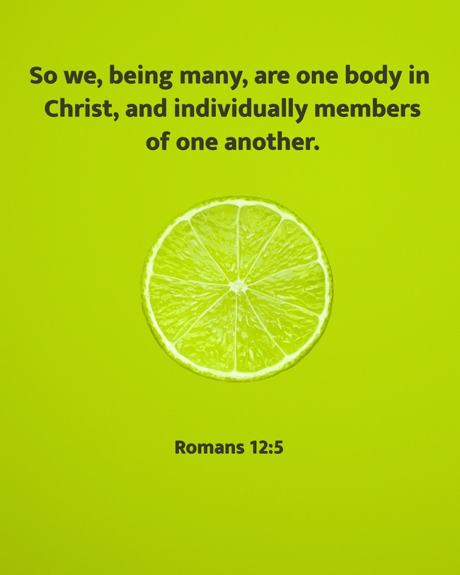 So we, being many, are one body in Christ, and individually members of one another. - Romans 12:5