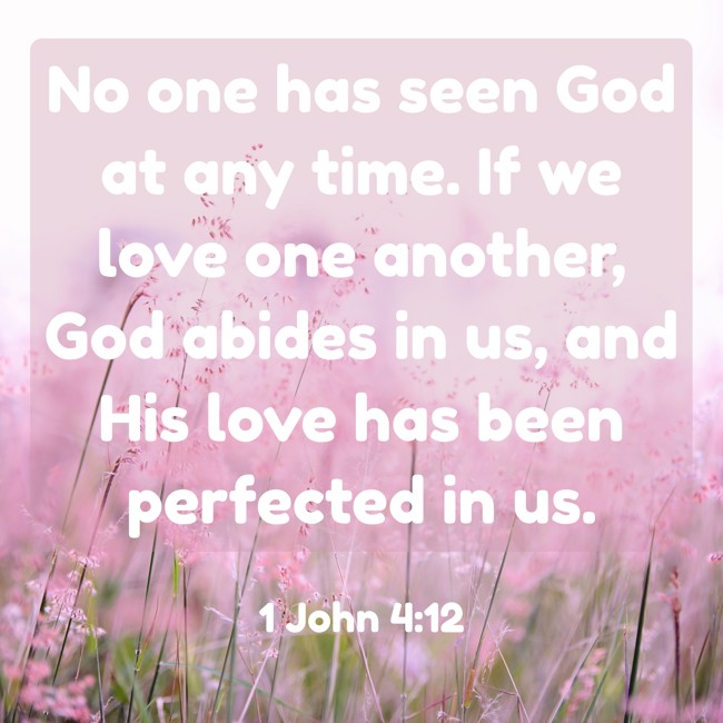 No one has seen God at any time. If we love one another, God abides in us, and His love has been perfected in us. - 1 John 4:12