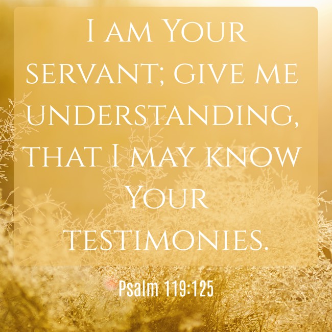 I am Your servant; give me understanding, that I may know Your testimonies. - Psalm 119:125