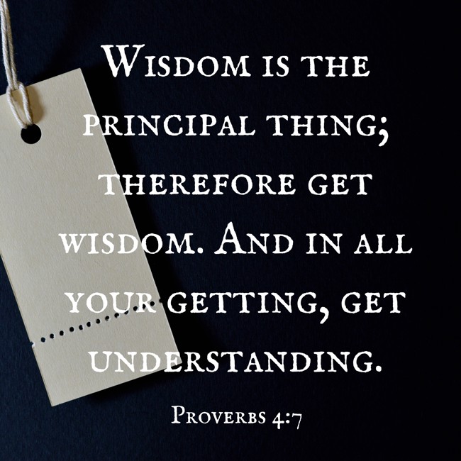 Wisdom is the principal thing; therefore get wisdom. And in all your getting, get understanding. - Proverbs 4:7