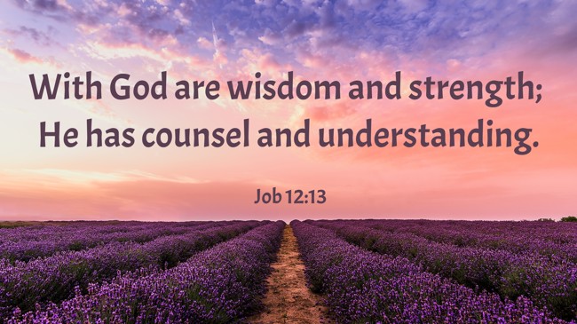 With God are wisdom and strength; He has counsel and understanding. - Job 12:13