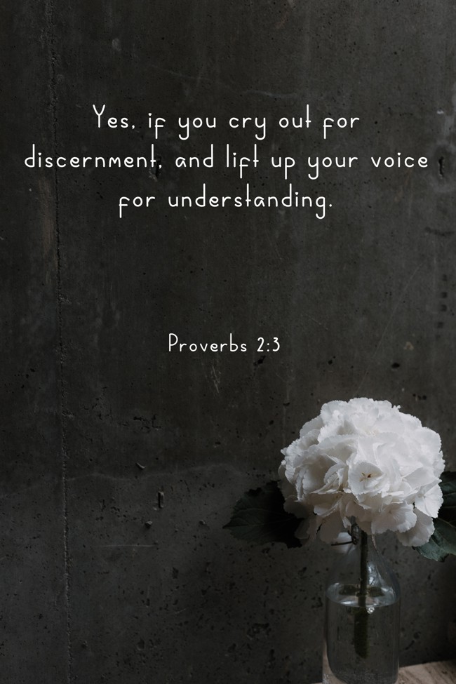 Yes, if you cry out for discernment, and lift up your voice for understanding. - Proverbs 2:3