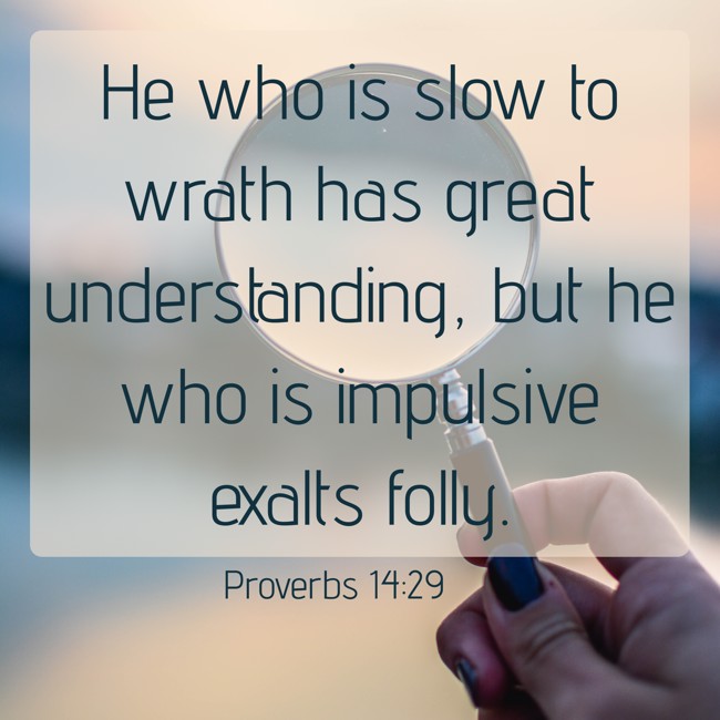 He who is slow to wrath has great understanding, but he who is impulsive exalts folly. - Proverbs 14:29