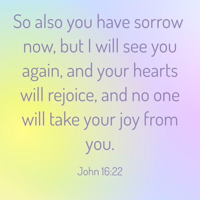 So also you have sorrow now, but I will see you again, and your hearts will rejoice, and no one will take your joy from you. - John 16:22