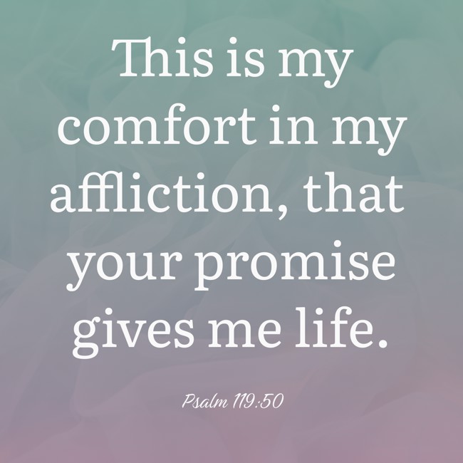 This is my comfort in my affliction, that your promise gives me life. - Psalm 119:50