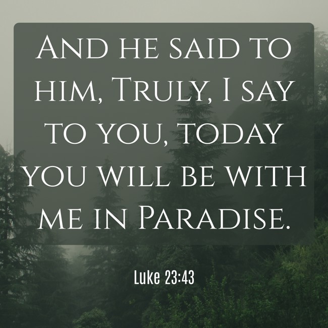 And he said to him, Truly, I say to you, today you will be with me in Paradise. - Luke 23:43