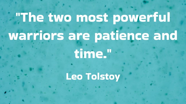 The two most powerful warriors are patience and time. - Leo Tolstoy