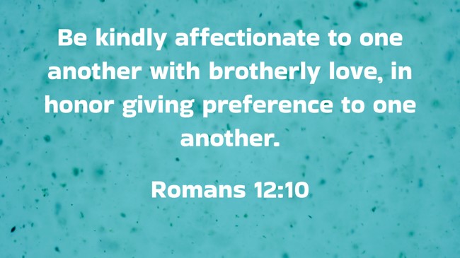 Be kindly affectionate to one another with brotherly love, in honor giving preference to one another. - Romans 12:10