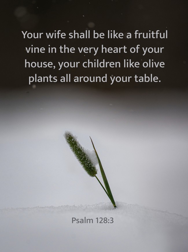 Your wife shall be like a fruitful vine in the very heart of your house, your children like olive plants all around your table. - Psalm 128:3