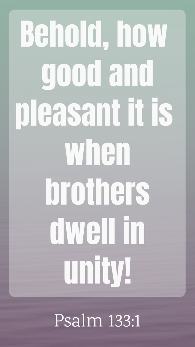 Behold, how good and pleasant it is when brothers dwell in unity! - Psalm 133:1