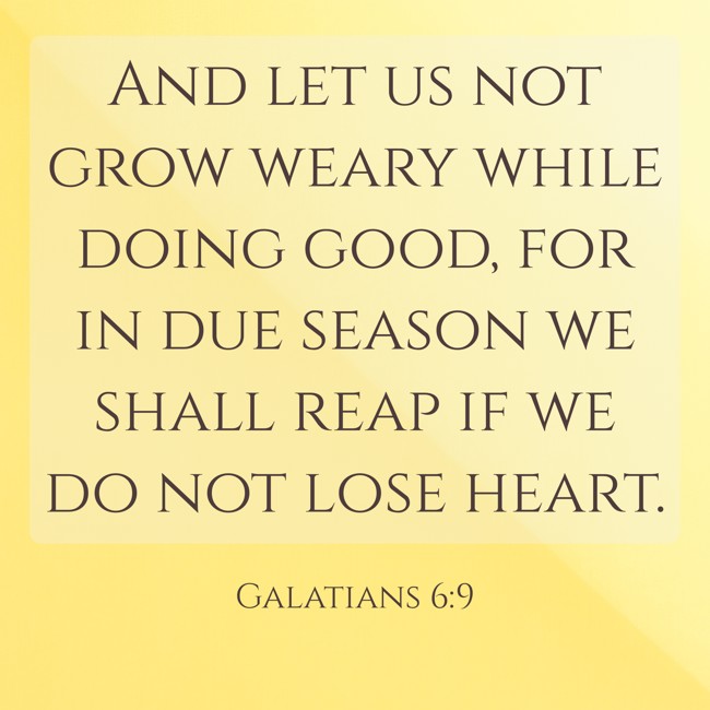 And let us not grow weary while doing good, for in due season we shall reap if we do not lose heart. - Galatians 6:9