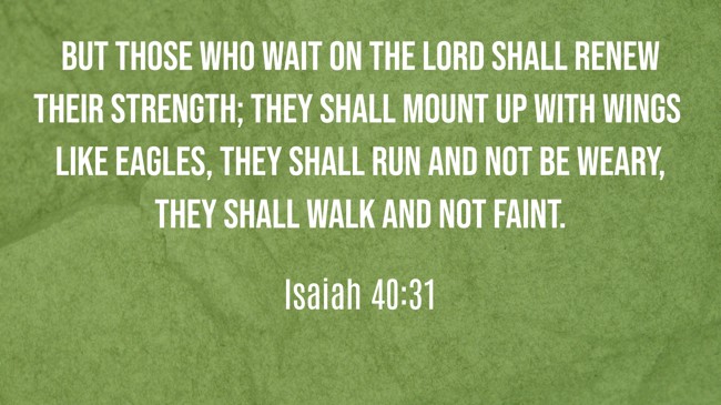 But those who wait on the LORD shall renew their strength; they shall mount up with wings like eagles, they shall run and not be weary, they shall walk and not faint. - Isaiah 40:31