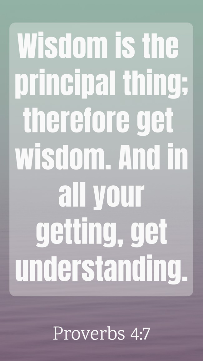 Wisdom is the principal thing; therefore get wisdom. And in all your getting, get understanding. - Proverbs 4:7
