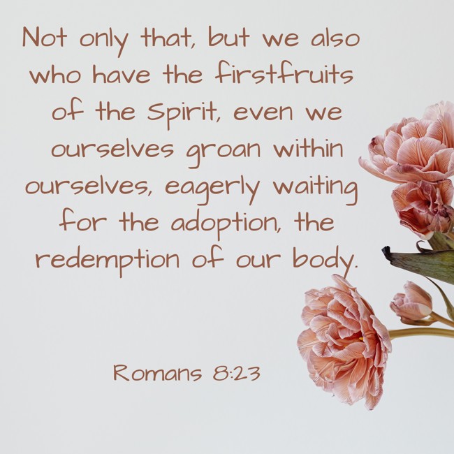 Not only that, but we also who have the firstfruits of the Spirit, even we ourselves groan within ourselves, eagerly waiting for the adoption, the redemption of our body. - Romans 8:23