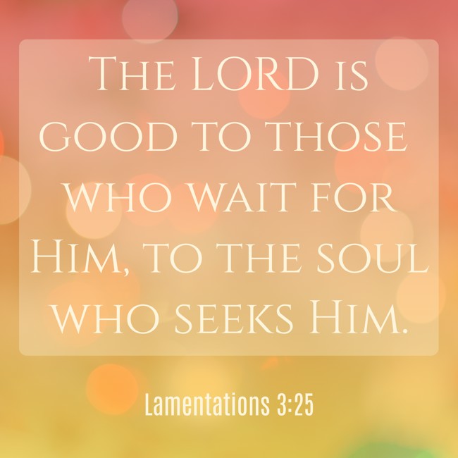The LORD is good to those who wait for Him, to the soul who seeks Him. - Lamentations 3:25