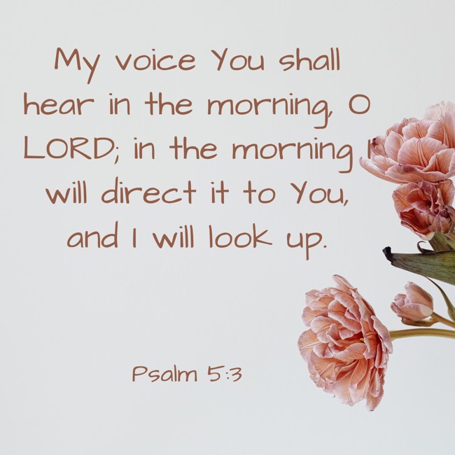 My voice You shall hear in the morning, O LORD; in the morning I will direct it to You, and I will look up. - Psalm 5:3