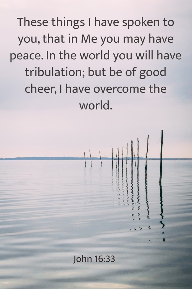 These things I have spoken to you, that in Me you may have peace. In the world you will have tribulation; but be of good cheer, I have overcome the world. - John 16:33