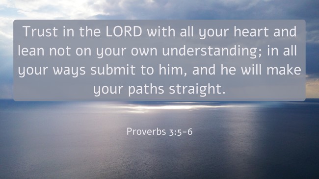 Trust in the LORD with all your heart and lean not on your own understanding; in all your ways submit to him, and he will make your paths straight. - Proverbs 3:5-6