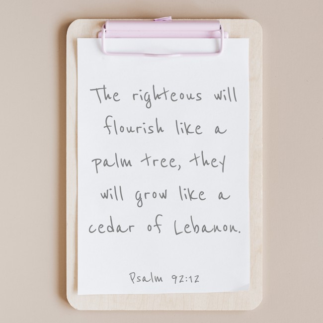 The righteous will flourish like a palm tree, they will grow like a cedar of Lebanon. - Psalm 92:12