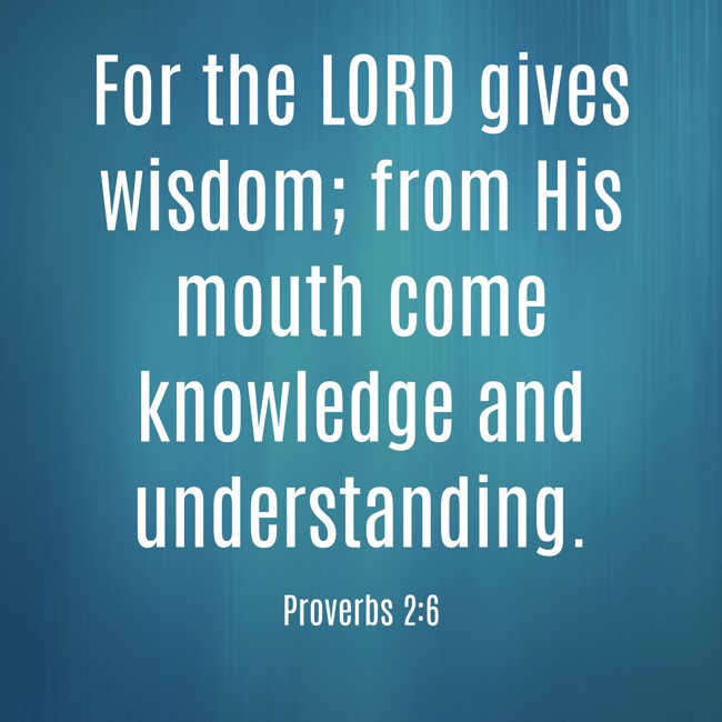 For the LORD gives wisdom; from His mouth come knowledge and understanding. - Proverbs 2:6