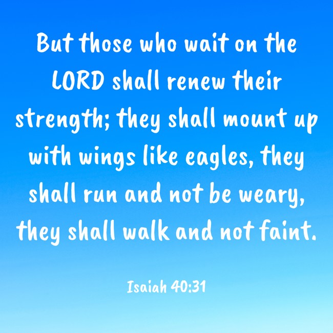 But those who wait on the LORD shall renew their strength; they shall mount up with wings like eagles, they shall run and not be weary, they shall walk and not faint. - Isaiah 40:31