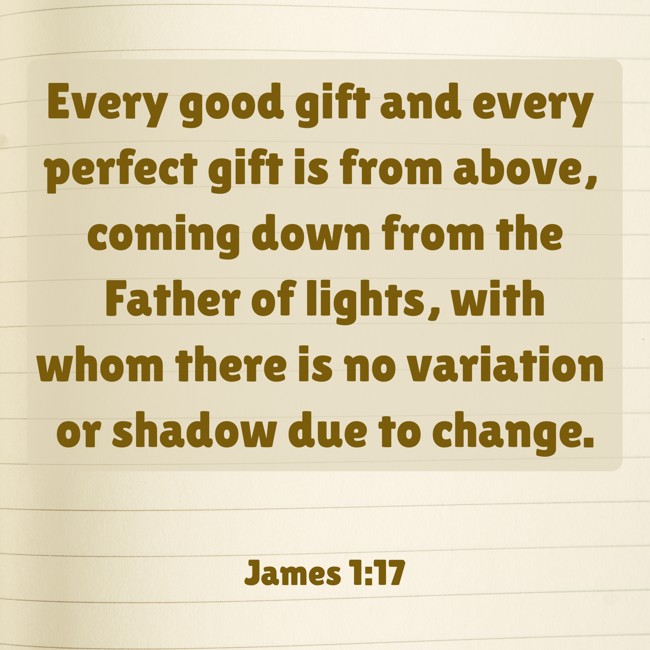 Every good gift and every perfect gift is from above, coming down from the Father of lights, with whom there is no variation or shadow due to change. - James 1:17